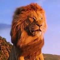 aslan3034__
