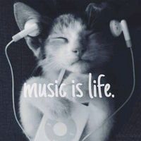 musiclife28890