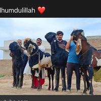 dhillon.toba.wala