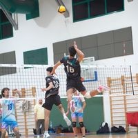 oran_volley