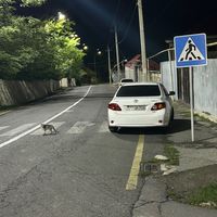 oquz_709