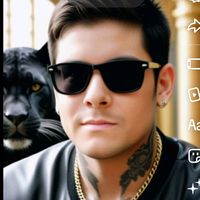 aviscat6