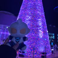 オリジナル楽曲 - めいなぽ