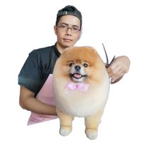 mckiedoggrooming