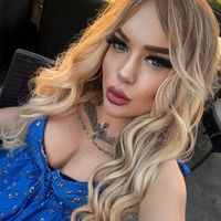 kedicikyayinda1