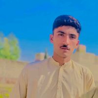 mashal1637