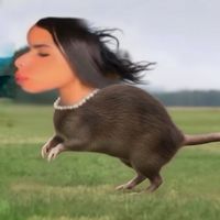 rataflop