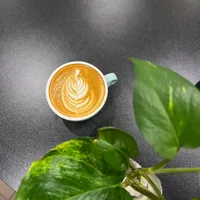 original sound - a.s.m5066