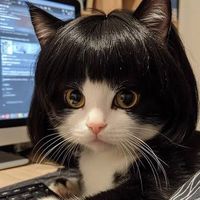 meowt_hngg