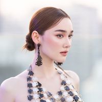 dianaflip