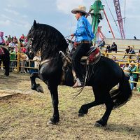 franciscoambriz7