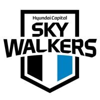 오리지널 사운드 - skywalkers_vbc