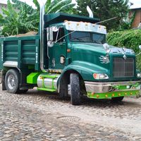 rolando598