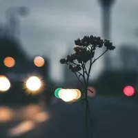 original sound - ujin.cy