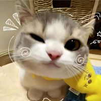 elmichixd98