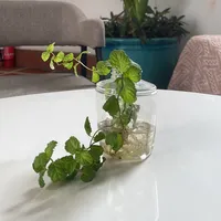 original sound - khe.ay