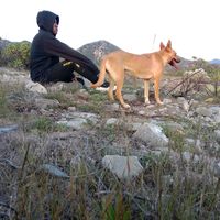sonido original
