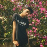 nhạc nền - Carott✨