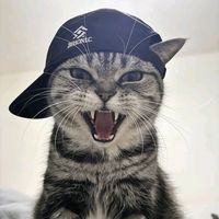 tye_rapa