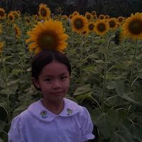 original sound - Ssl