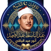 anwar_abd_elbaqi010066