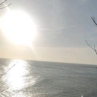 nhạc nền - Chi Trân(祚珍)
