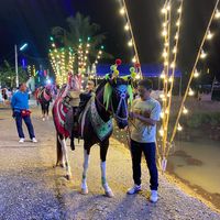 changtong2738_