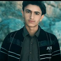 hamza.ali5510