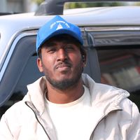 simpal_336