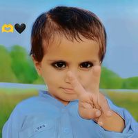 1stzaib