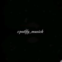 original sound - spotify_musick