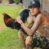 sonido original - ️