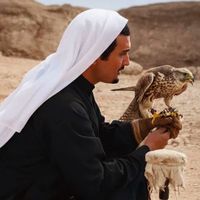 الصوت الأصلي