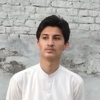 muhammadkamil2950