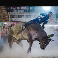 garrobodezumpangooficial
