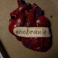 soobranie