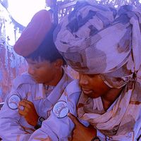 الصوت الأصلي