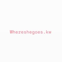 whereshegoes.kw