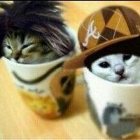 tk0.htl
