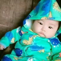 miphinh8
