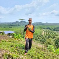 เสียงต้นฉบับ - pongsakornbkj