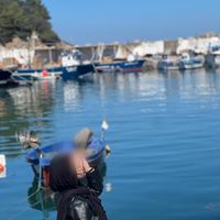 danioscollection2023