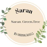 saran_green