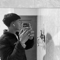 dainer.8p