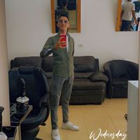 الصوت الأصلي