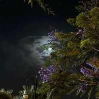 moonii02