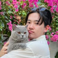 support.sungstarwin