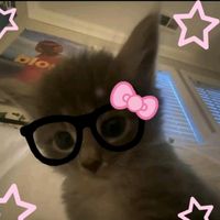 original sound - -[[rene/loves marga]-]