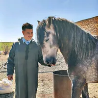 original sound - mostaphabekouche