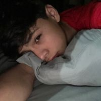 vxldez1_3